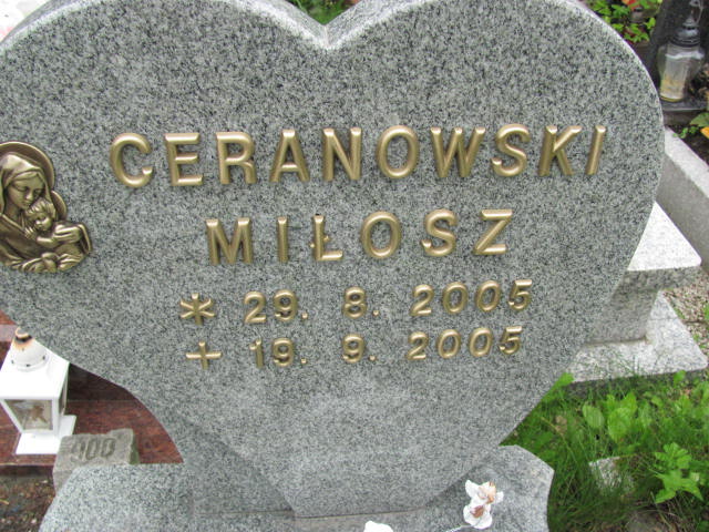 Miłosz Ceranowski 2005 Jastrzębie-Zdrój Górne - Grobonet - Wyszukiwarka osób pochowanych