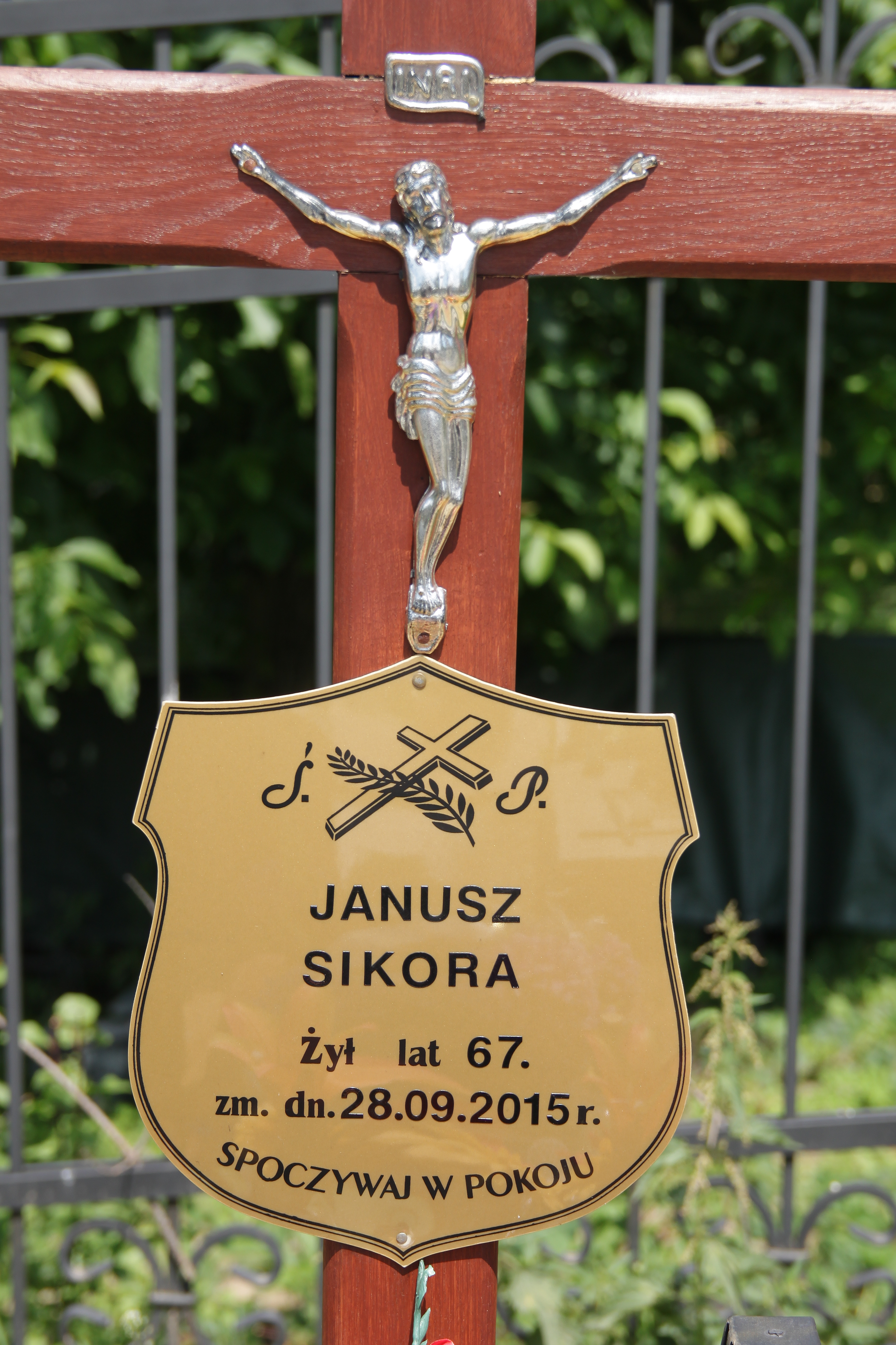 Jadwiga Salamon Jastrzębie-Zdrój Górne - Grobonet - Wyszukiwarka osób pochowanych