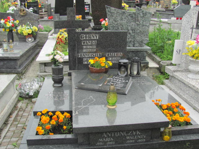 Grób Franciszek Górny